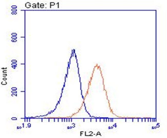 Formulating Textile Airflow Dyeing Reagents: A Comprehensive Guide