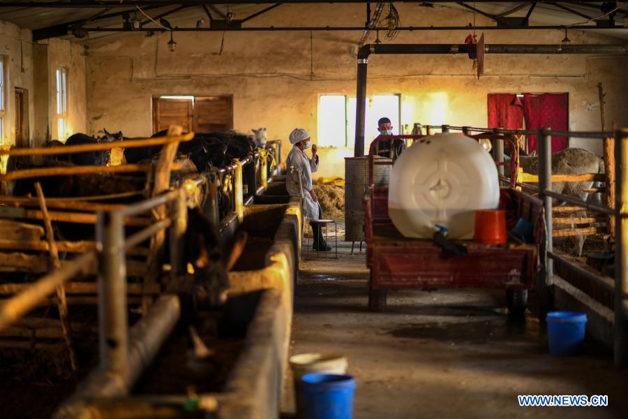 The Rise and Triumph of Wujiang Xingxing Textile Mill