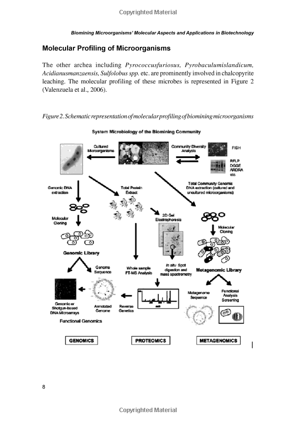 Advanced Instruments and Technologies for Textile Biodegradation Experiments