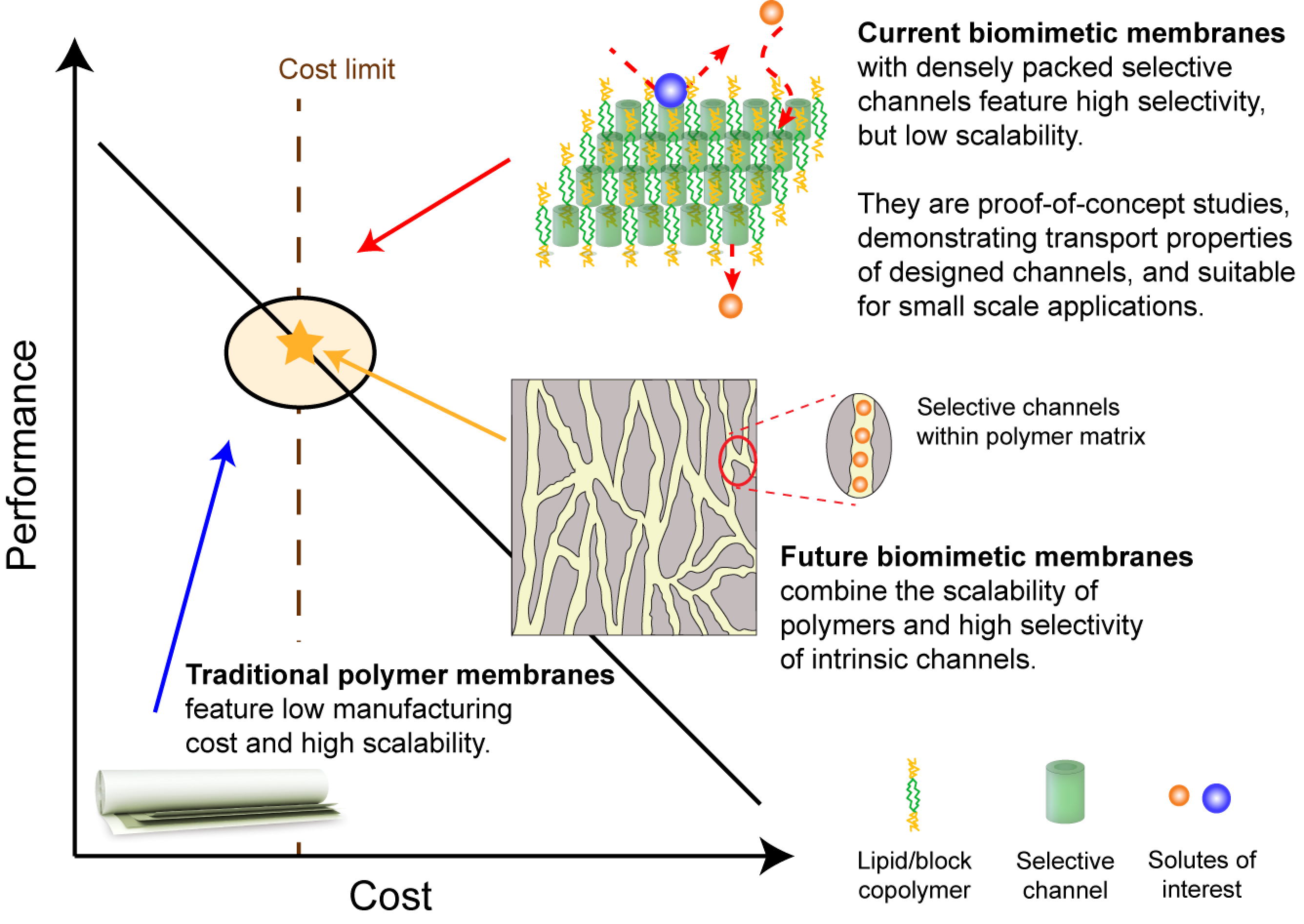 How to Deal with Mold Growth on Textiles?