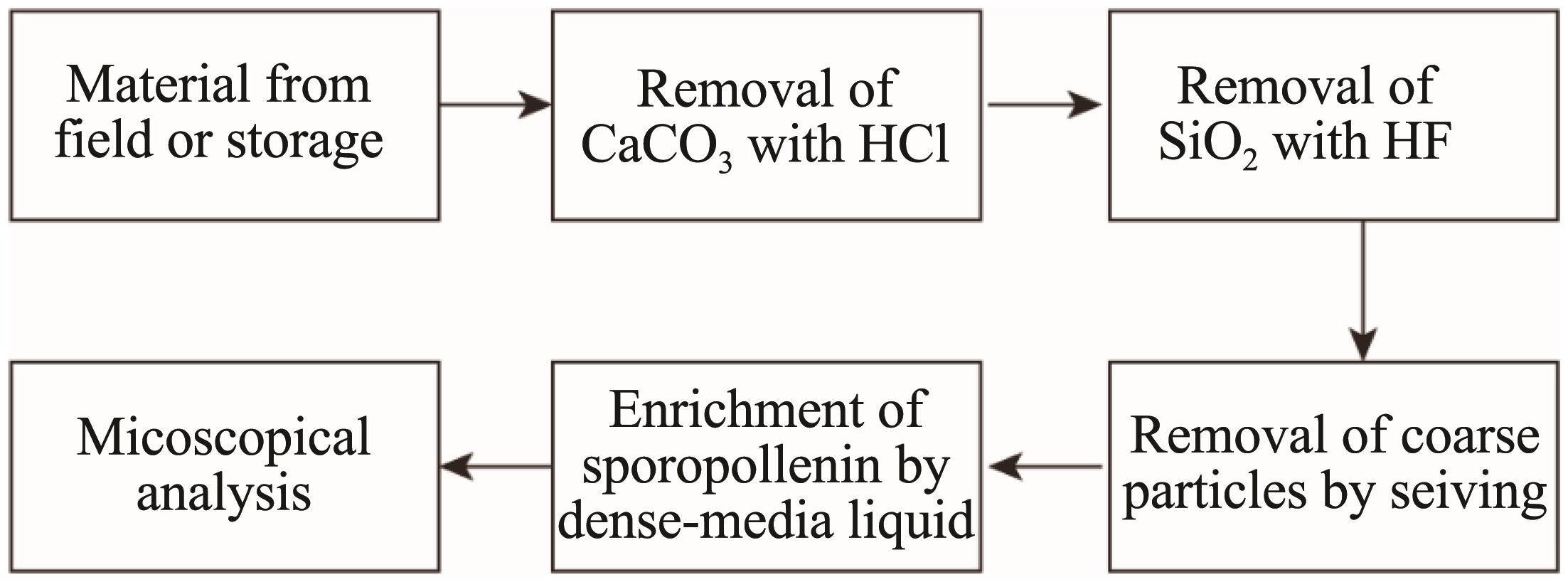 A Comprehensive Approach to Textiles Wrinkle Prevention and Treatment