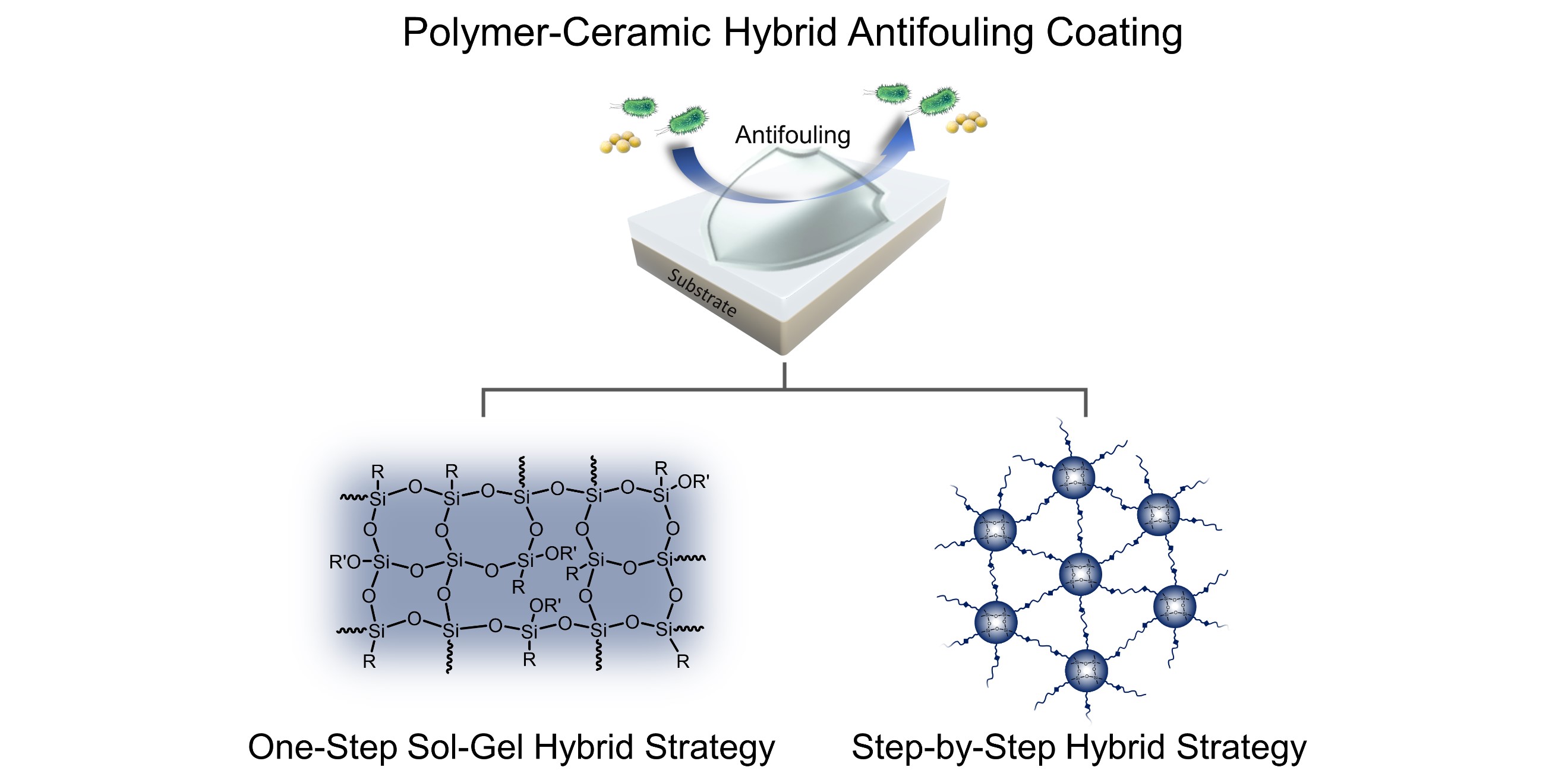 The Emergence and Sustainability of Polylactic Acid (PLA) Nonwoven Ecological Textiles