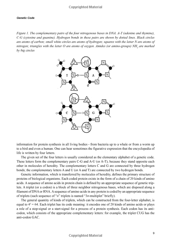 An In-Depth Analysis of the Structure of Textiles