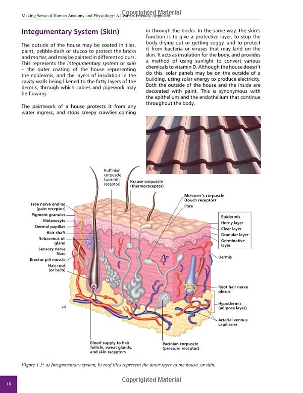 An Comprehensive Guide to Textile Structure and Process Drawings