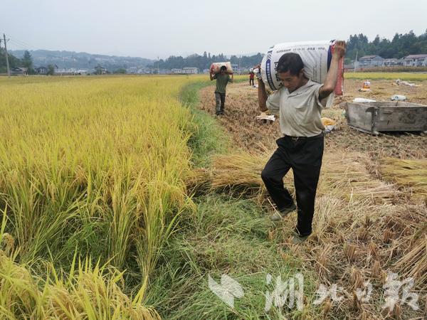 鹤峰走马纺织品工厂 - 招聘优秀人才，共同发展