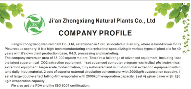 Recruitment Notice for Ganzhou Textile Drying Plant