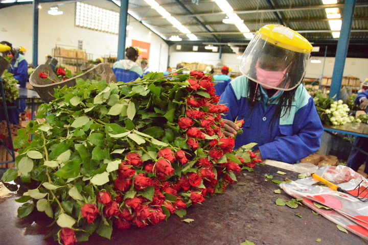 Employment Opportunity: Textile Flower Cutting Plant Seeks Skilled Workers