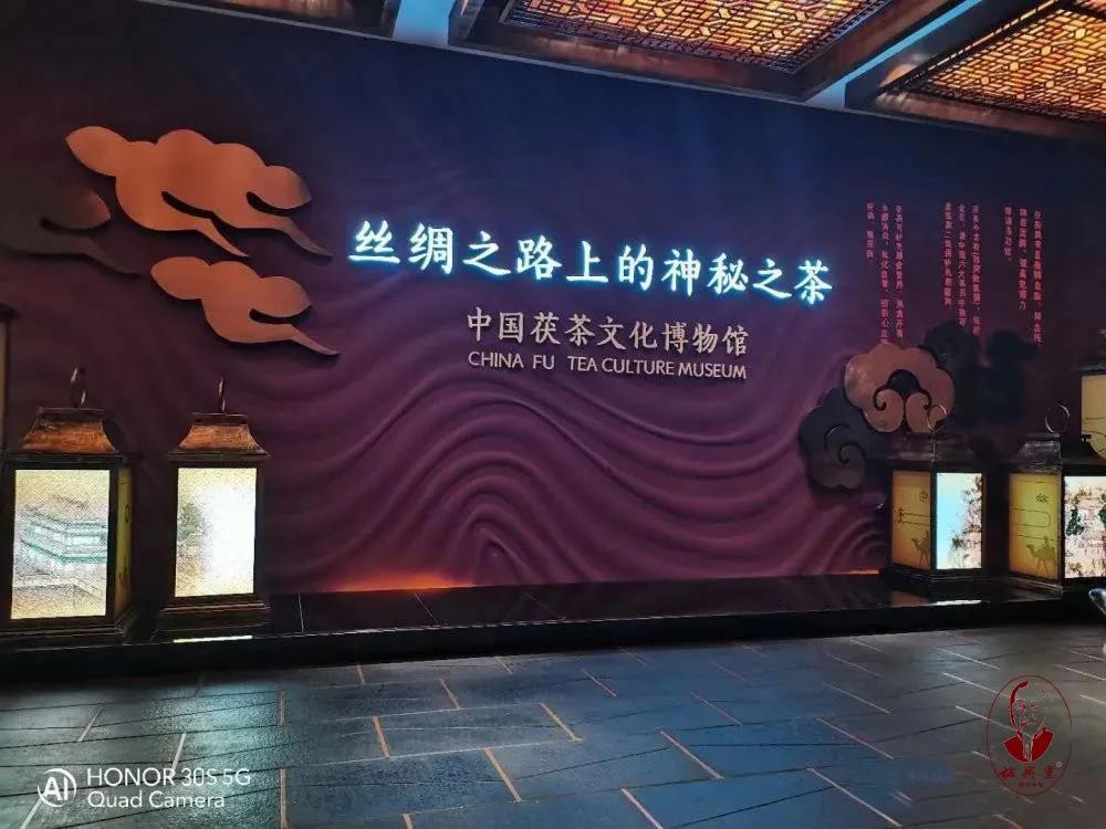 Exploring the Rich Cultural Heritage and Promising Future of Shaoxing Taorui Textiles