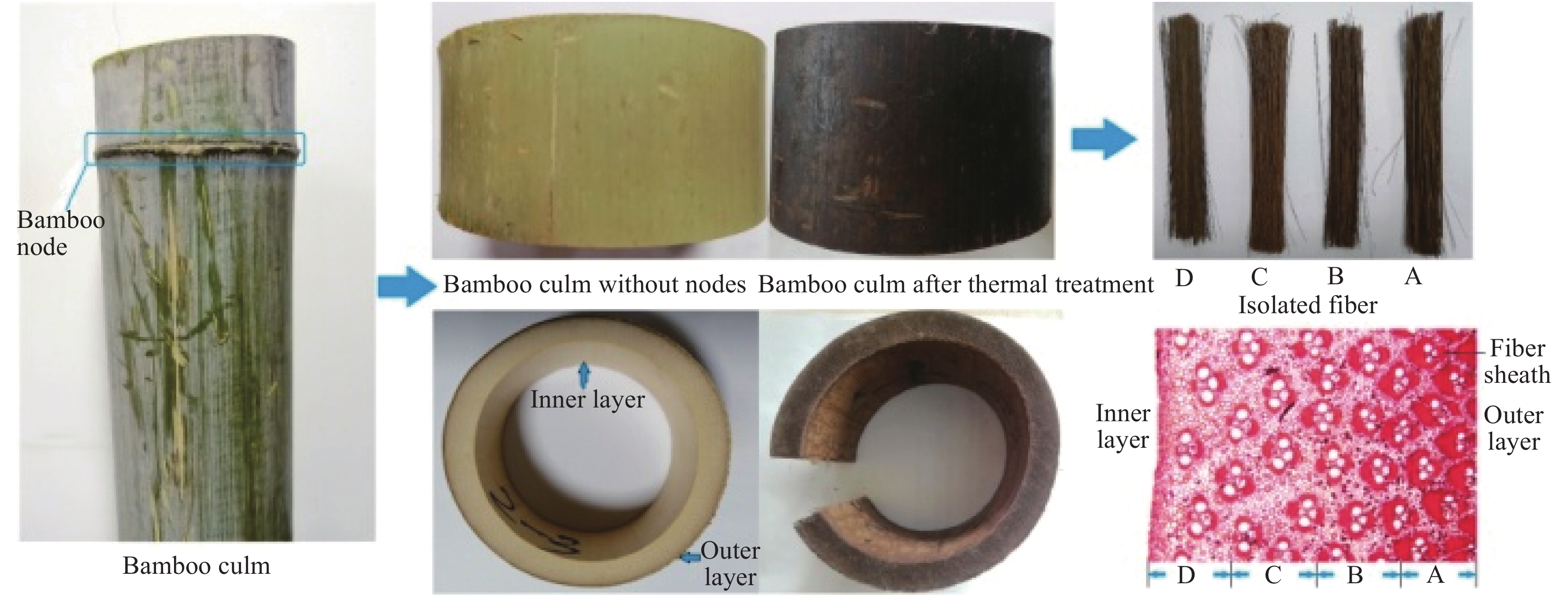 Introduction of Bamboo Fiber Series Textiles