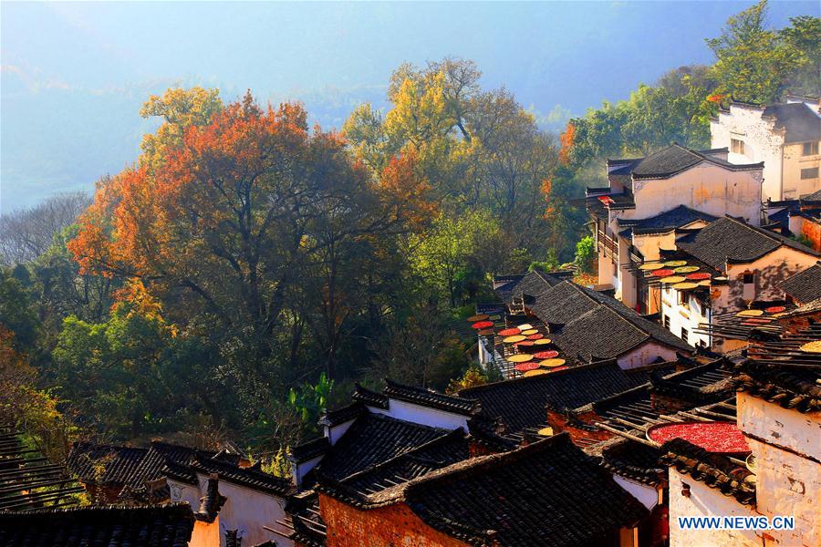 Textile Mill Village Xiangfen - A Tranquil Oasis in the Heart of Chinas Industrial Landscape