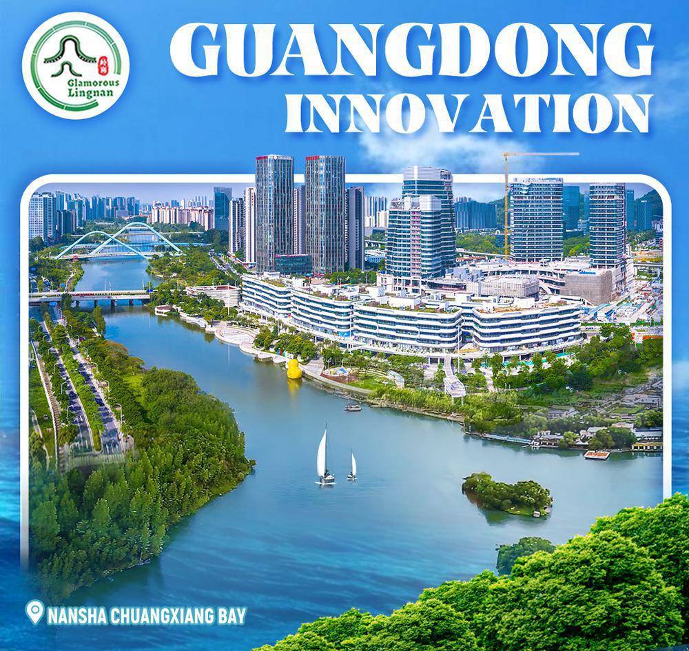 Guangdongs Expensive Textile Design Software: A Revolutionary Innovation in the Industry