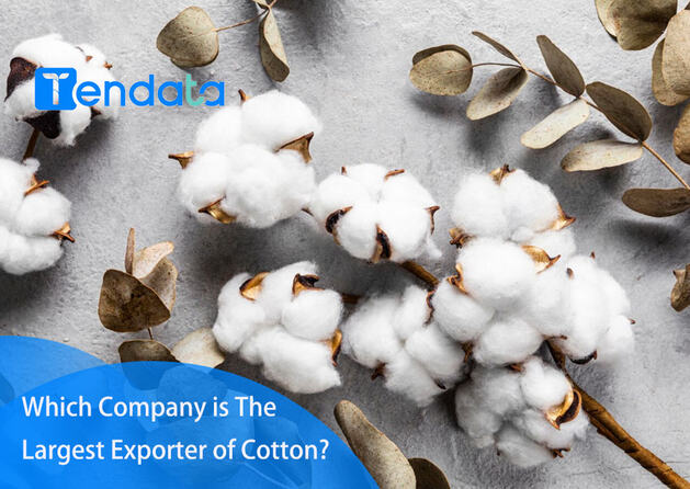 The Unique Charm of a Global Cotton Textile Brand