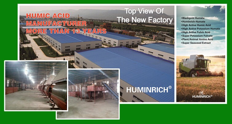 The Rich Heritage and Sustainable Development of Chunan Gushan Textile Mill