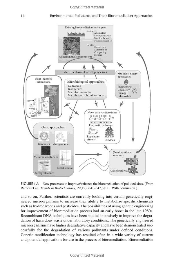 The Environmental Impact of Textile Mills: A Comprehensive Analysis