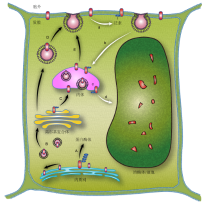 Effective Mosquito and Insect Repellent Products for Beijing Textile Industry