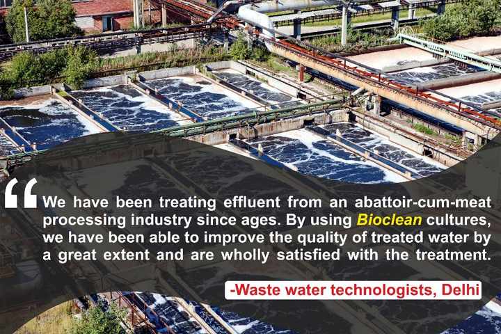 Greening the Textile Industry: Transforming Wastewater into a Resource