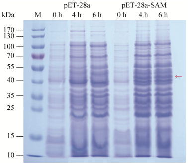 A Comprehensive Analysis of Textile Performance Tests: Results and Implications