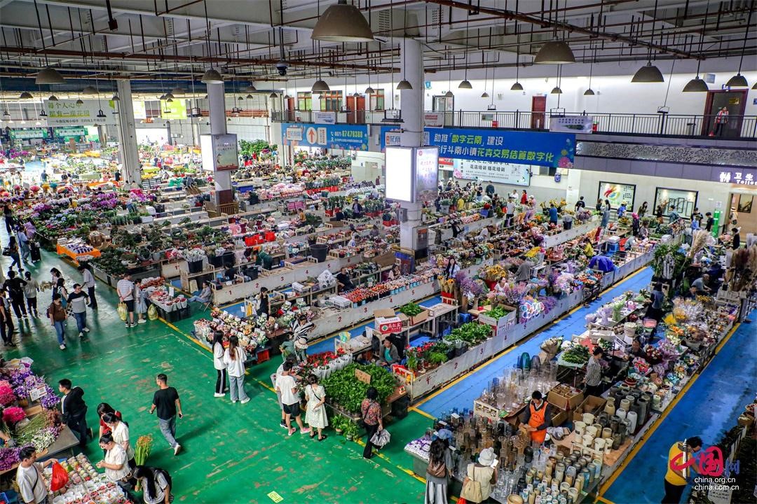 Nanchong Textile Market: A Hub of Trade in South China