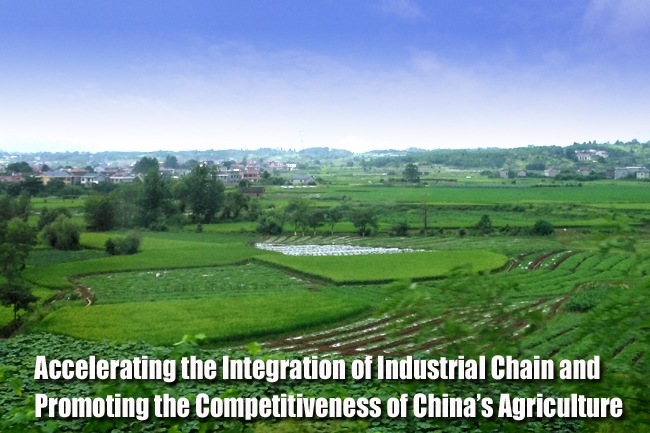 Cangzhou Textile Plant Ranking: A Comprehensive Analysis of Industry Performance and Development