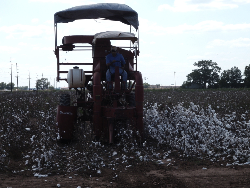 The Art of Yarn Harvesting in Textile Factories