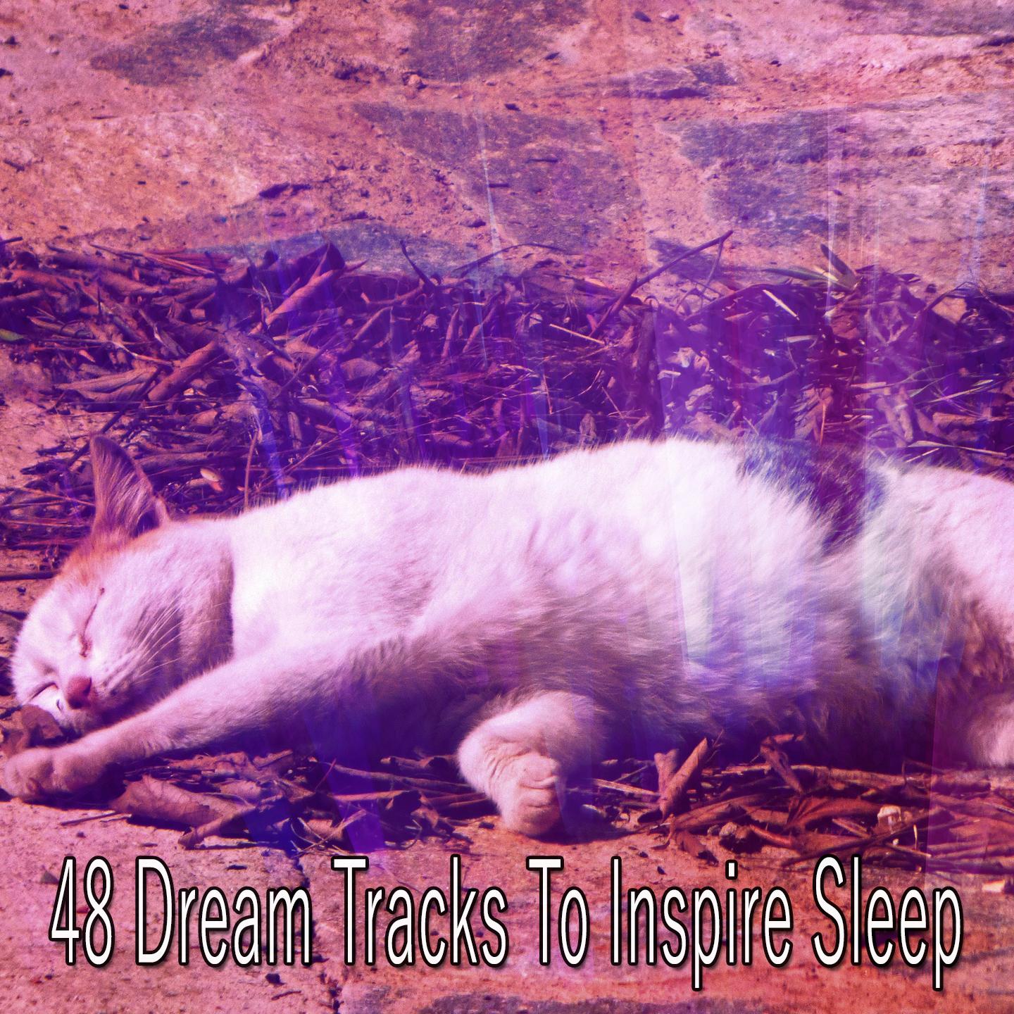 The Unique Charm of Dream Cat Textiles