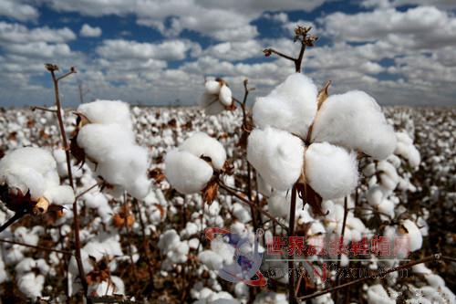 Are Filter Cotton Textiles?