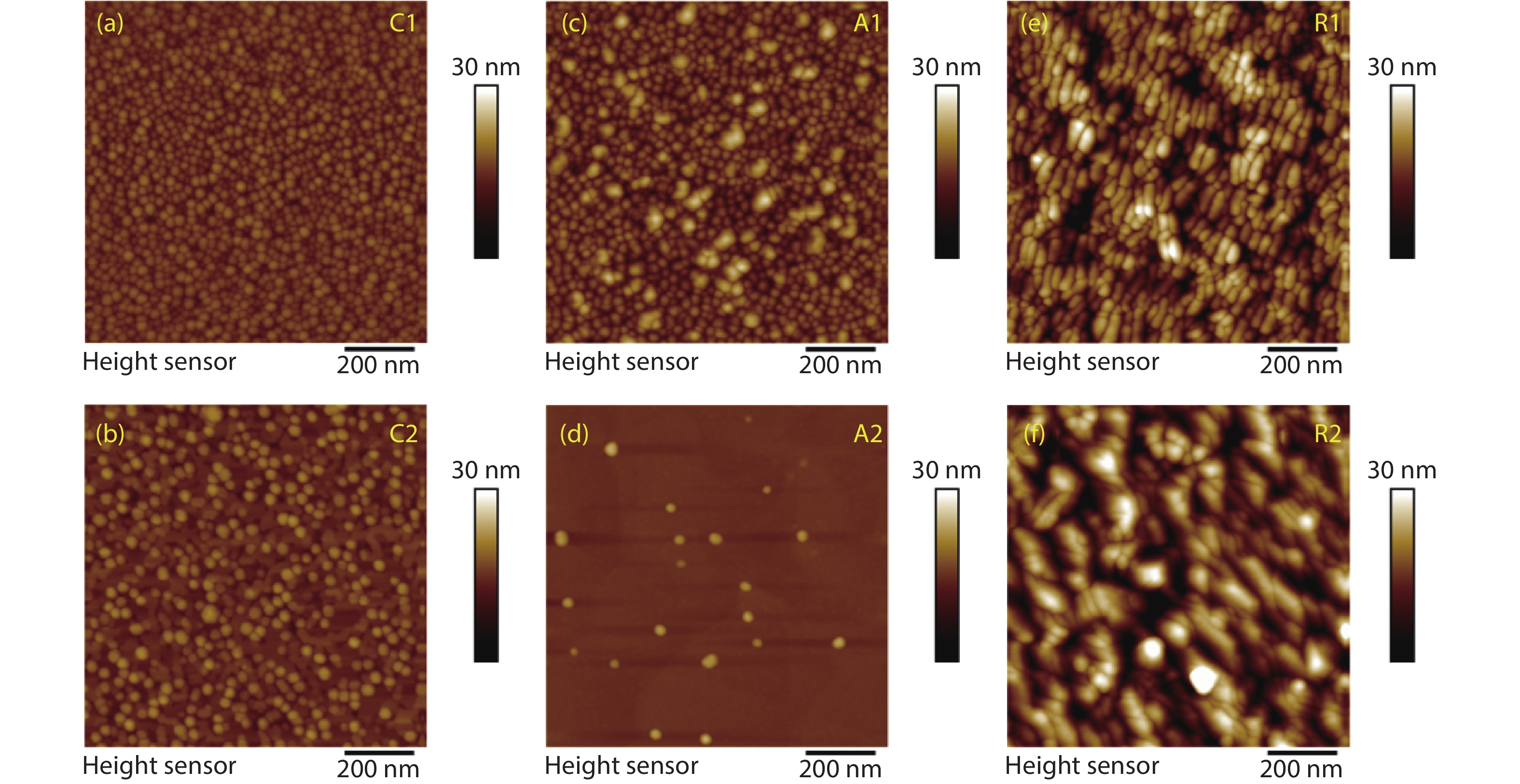 An In-Depth Exploration of Textile Fluorescent Colors