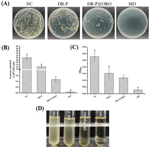 Textiles with Antimicrobial Properties