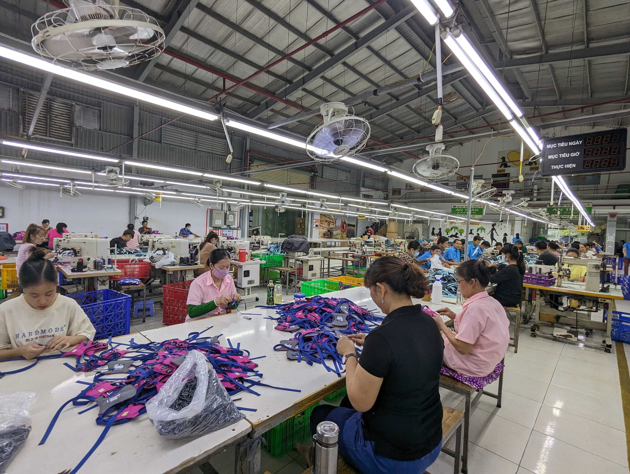 Dongguan Xinmin Textile Factory: A Legacy of Quality and Innovation