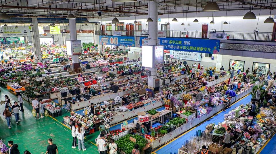 The Prosperous Kunming Textile Market: A Hub of Trade and Innovation