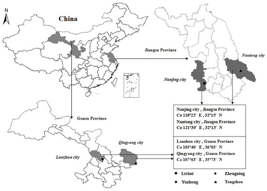 The Transformational Impact of Hengfeng Textile Mill Project on Local Economy and Environment