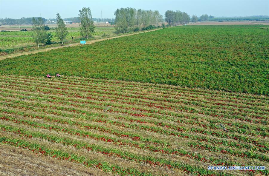 Housing in Huainan Textile Plant