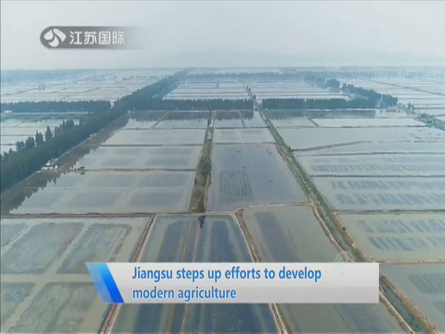 Exploring the Future of Expensive Textiles in Jiangsu Province