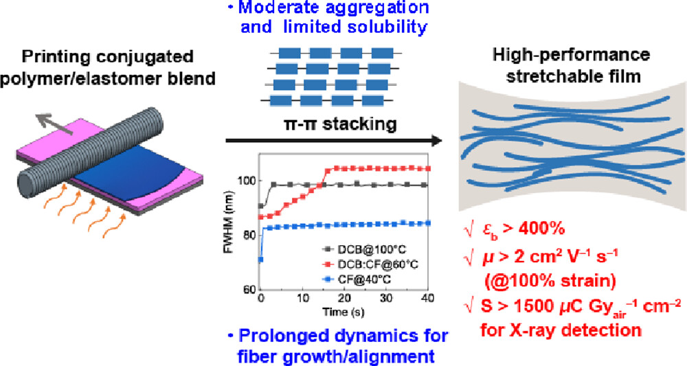 Advanced Methods for Modifying Textile Fibers