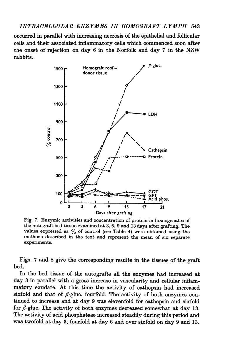 The Radiation Heating of Textiles: A Revolutionary Approach