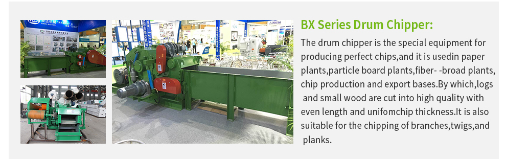 Biofuel and Textile Mills: A Synergy of Green Technology and Traditional Industry