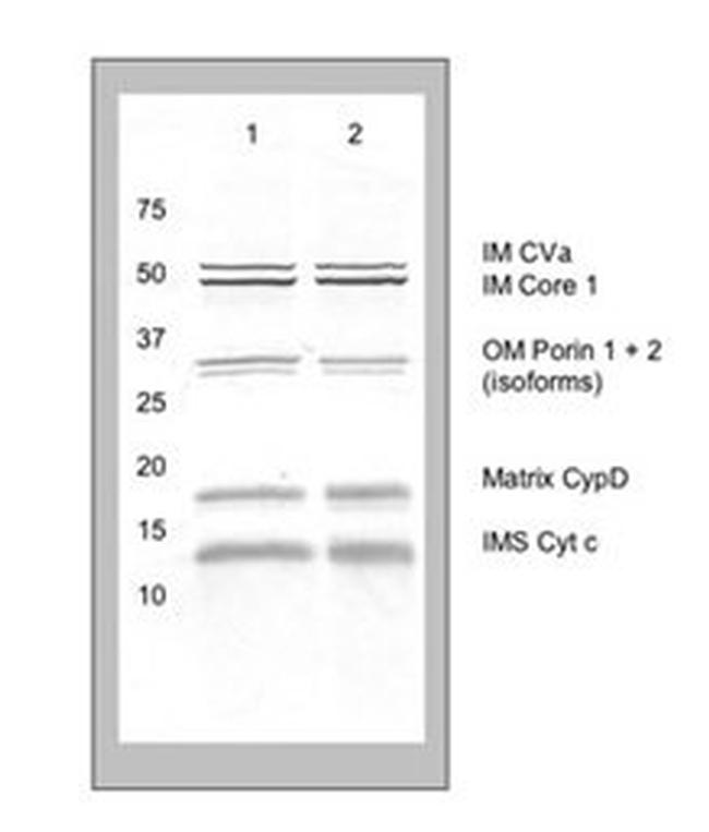 Standardized Pricing for Antimicrobial Treatment of Textiles