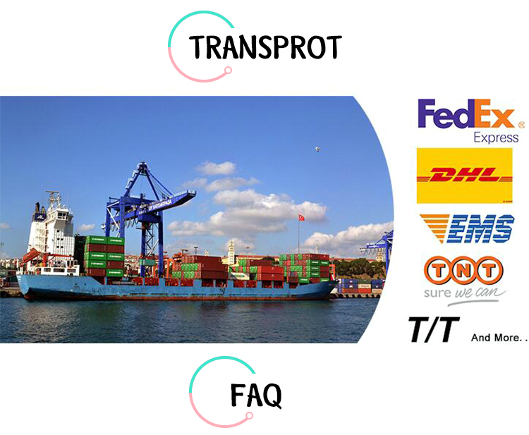 Understanding the Cost of Fuzhou Textile Logistics专线