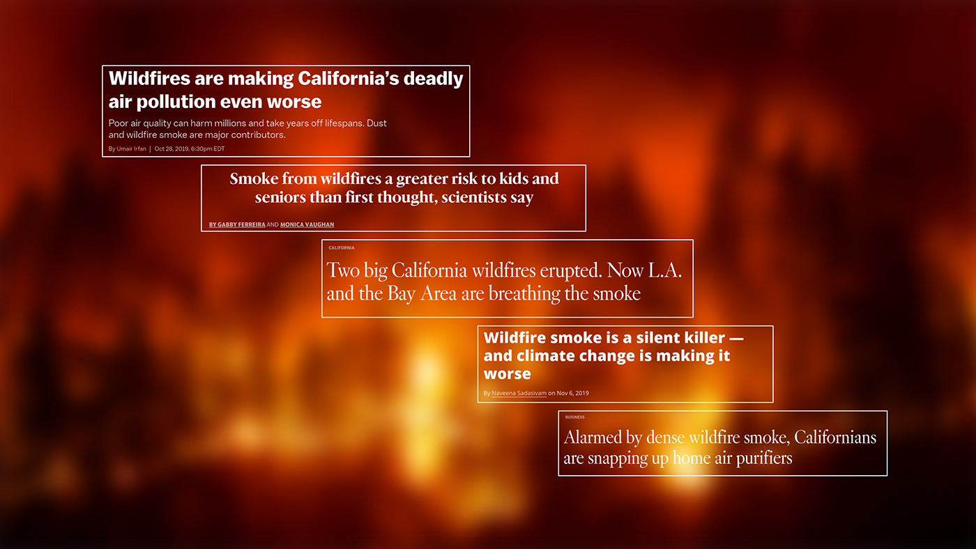 The Inevitable Disaster - A Tragic Lesson from the New Textile Plant Fire