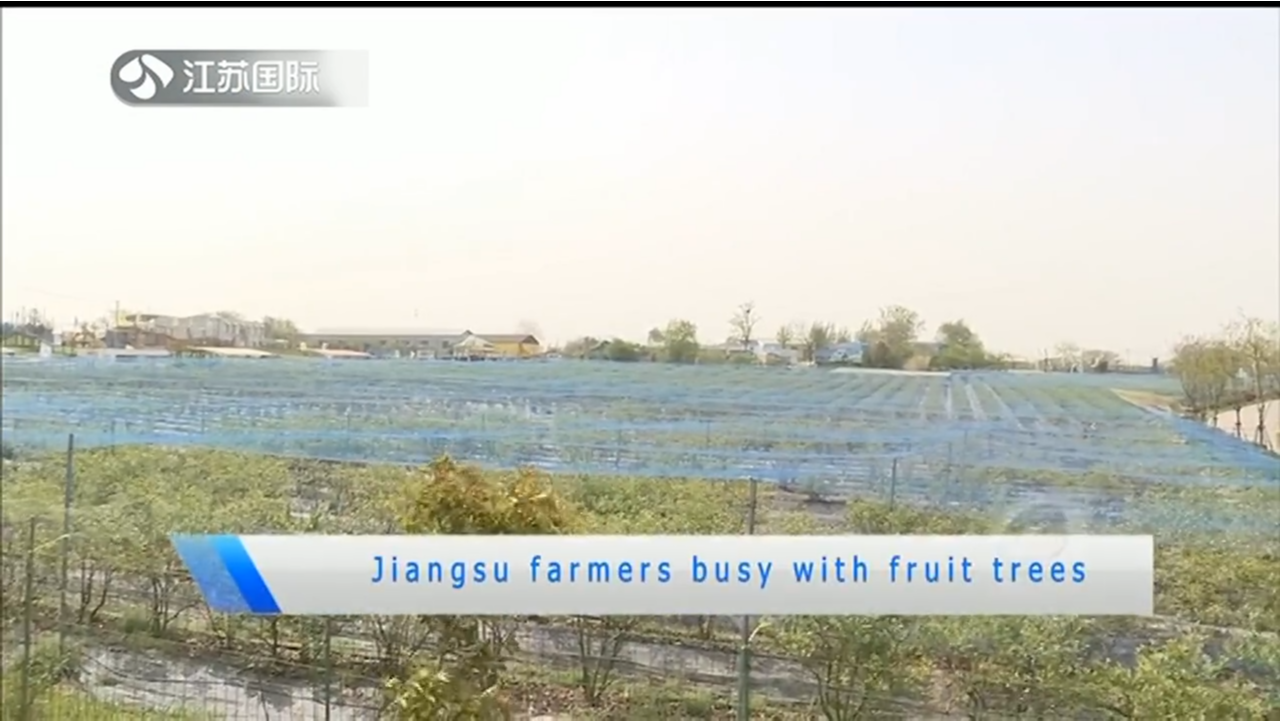 The Prosperous Province of Jiangsu and Its Iconic Textile Fields