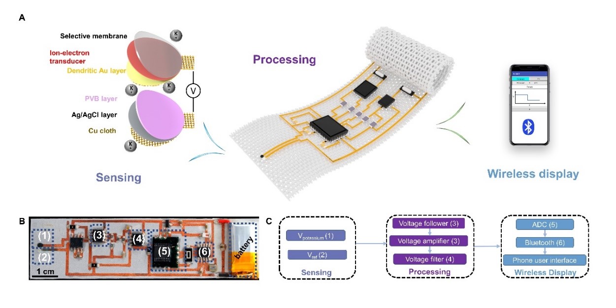 Embracing Antibacterial Technology for Enhanced Textile Durability