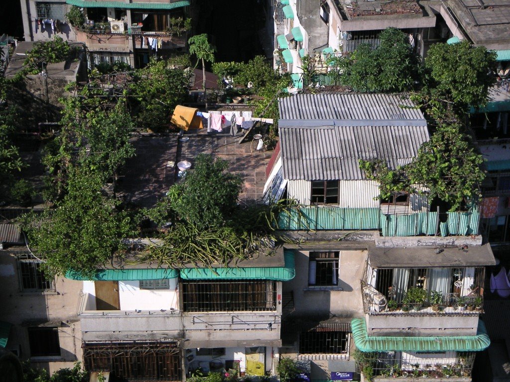 The Fabric of Life in Guangzhou Villages