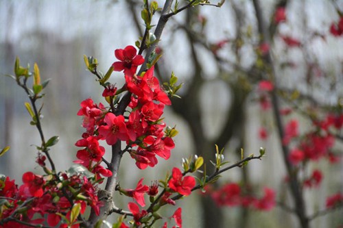 Embrace the Breeze - Exploring the World of Haixu Textiles