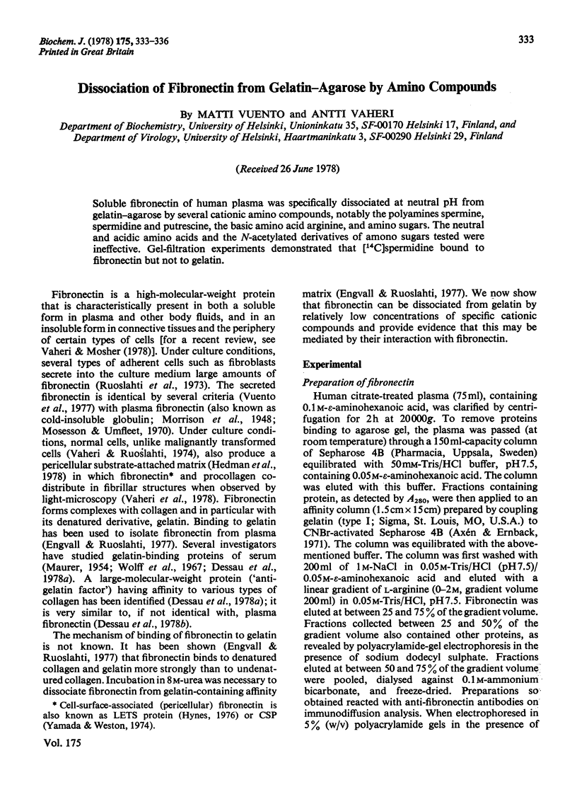 The Four-Aminoazobenzenes in Textiles and Their Significance