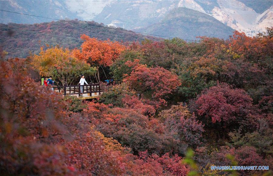 The Splendid Textiles of Beijing Jinxiu Valley