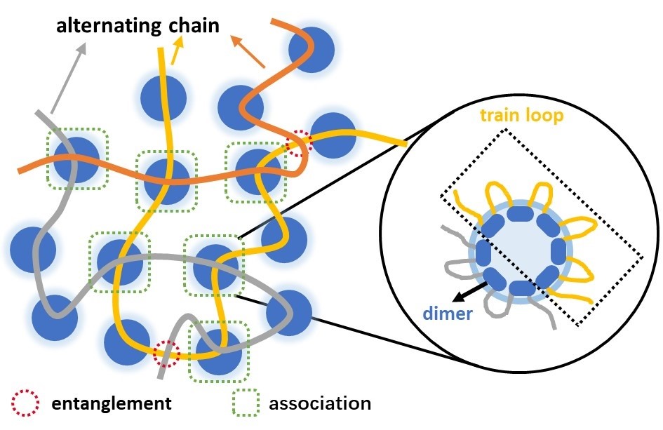 The Dynamics of Textile Antimicrobial Effect: A Comprehensive Study