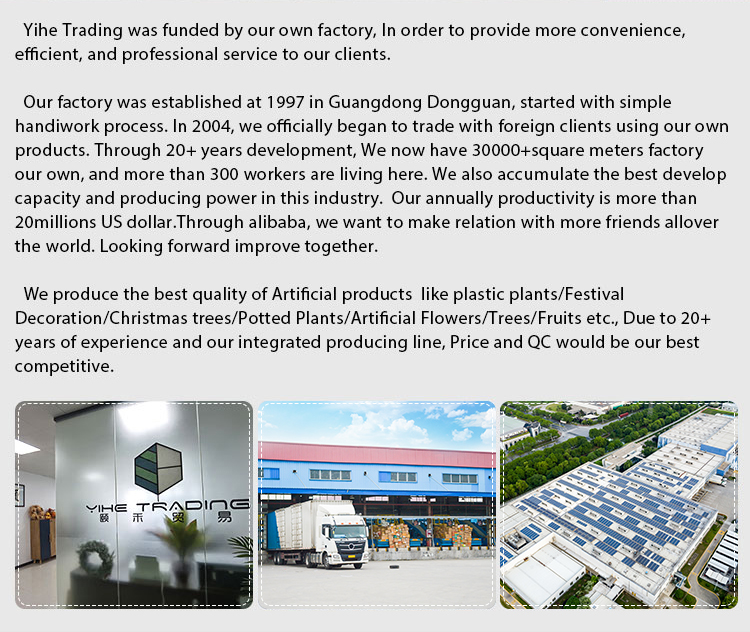 High-density Textile Plant Introduction