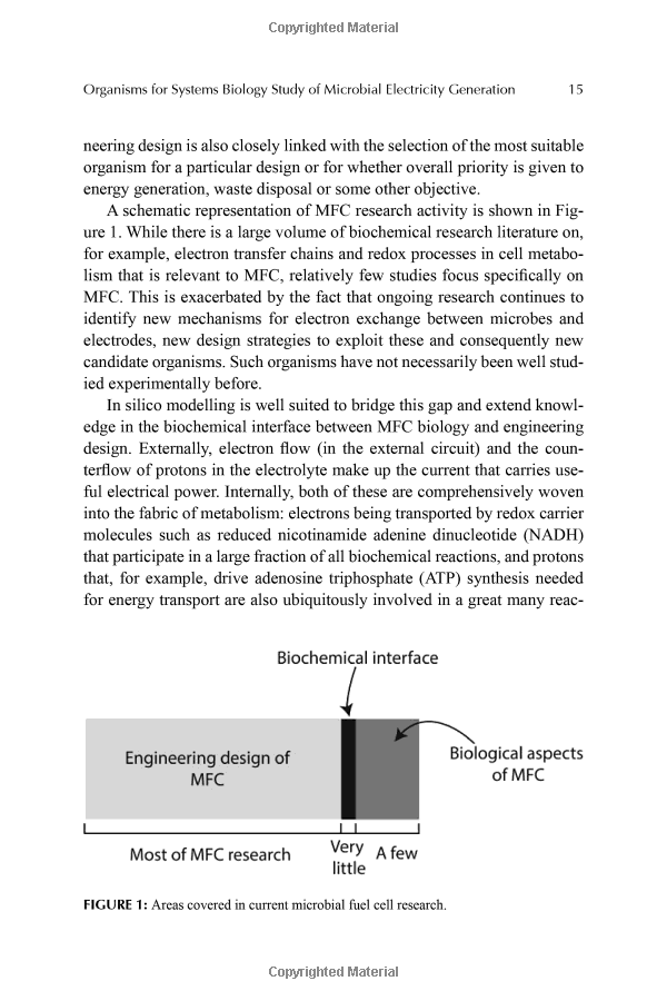 Techniques for Prolonging the Antimicrobial Lifespan of Textiles