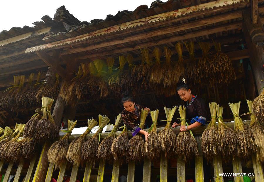 The Miao Village Textile Factory: A Tapestry of Tradition and Modernity