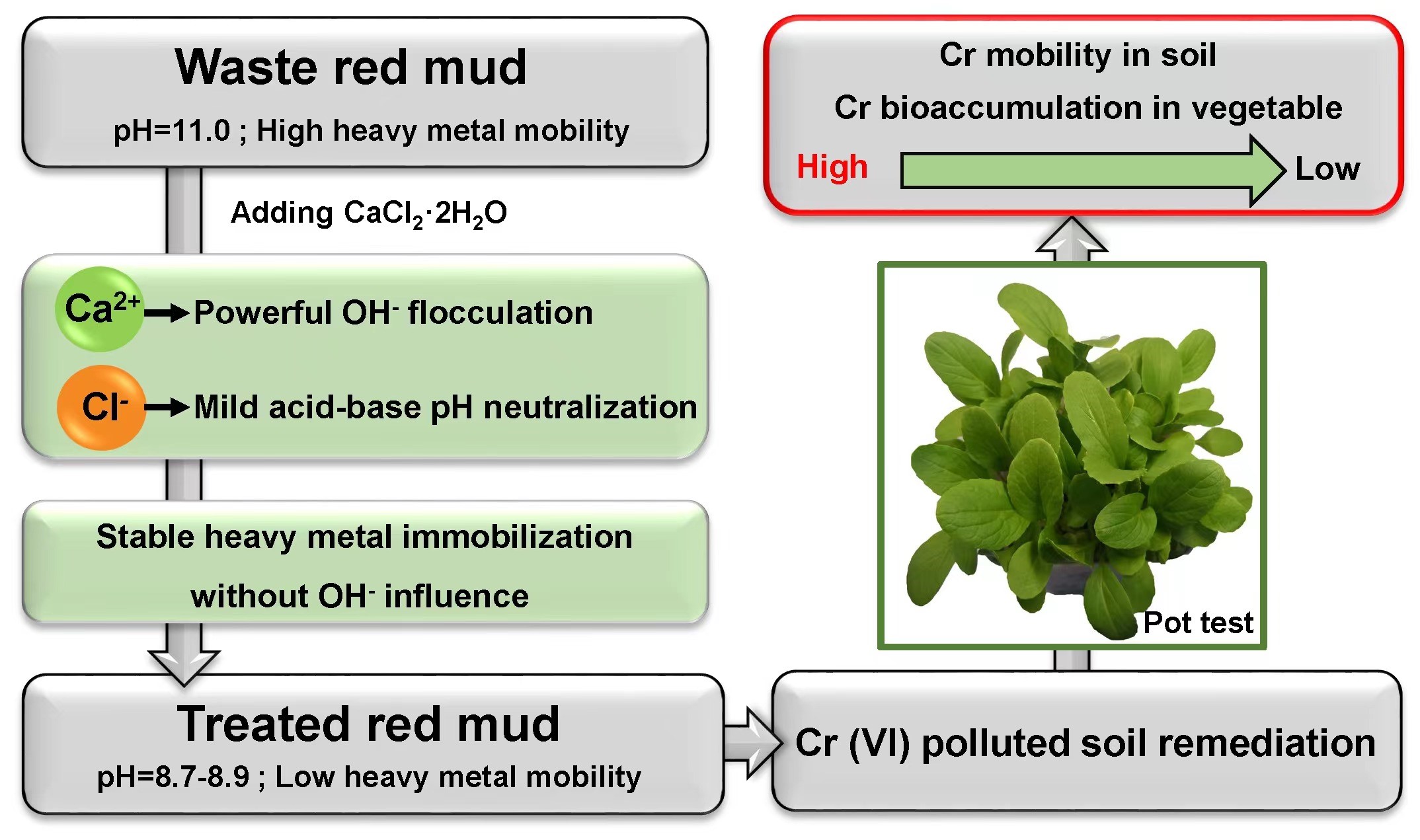 The Detection of Chlorine Excess in Textiles: A Consequence of Environmental Pollution